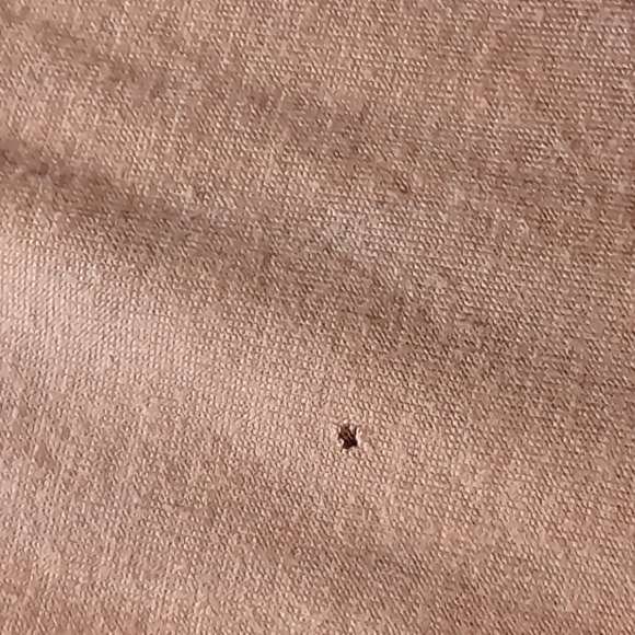 BCBGMAXAZRIA| Grey Stretch Short Sleeved T-shirt With Puffed Floral Design - Picture 9 of 12